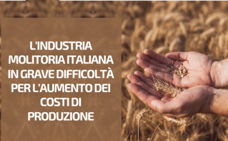 L'Industria Molitoria Italiana in grave difficoltà per l'aumento dei costi di produzione