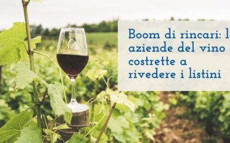 Boom di rincari: le aziende del vino costrette a rivedere i listini