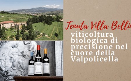 Tenuta Villa Bellini: viticoltura biologica di precisione nel cuore della Valpolicella