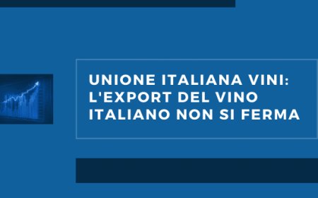 Unione italiana vini: l'export del vino italiano non si ferma