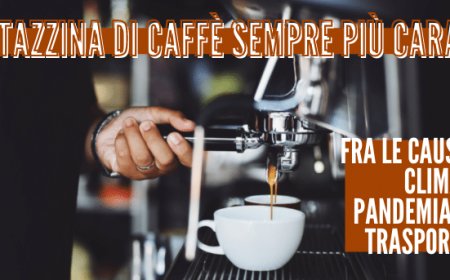 Tazzina di caffè sempre più cara. Fra le cause clima, pandemia e trasporti