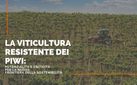 La viticultura resistente dei PIWI: potenzialità e criticità per la nuova frontiera della sostenibilità