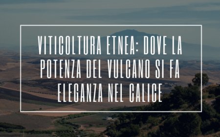 Viticoltura Etnea: dove la potenza del vulcano si fa eleganza nel calice