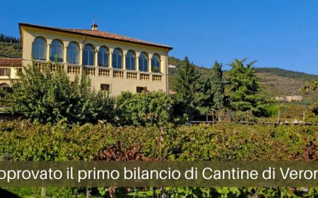 Approvato il primo bilancio di Cantine di Verona
