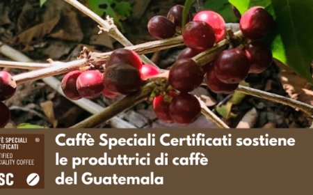 CSC - Caffè Speciali Certificati sostiene le produttrici di caffè del Guatemala