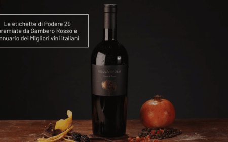 Le etichette di Podere 29 premiate da Gambero Rosso e Annuario dei Migliori vini italiani