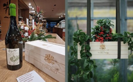 Cantina Toblino presenta Divinoinvaso. La cassetta per vino ha una seconda vita