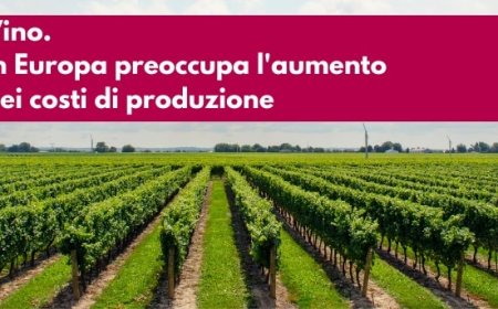 Vino. In Europa preoccupa l'aumento dei costi di produzione