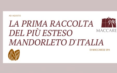 Ad agosto la prima raccolta del più esteso mandorleto d'Italia di Maccarese SpA