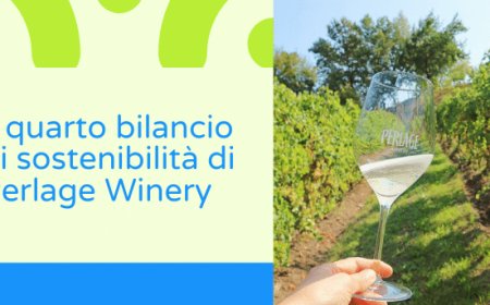 Il quarto bilancio di sostenibilità di Perlage Winery