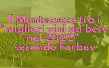Il Montecucco tra i "migliori vini da bere nel 2022" secondo Forbes