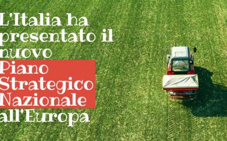 L'Italia ha presentato il nuovo Piano Strategico Nazionale per la PAC all'Europa