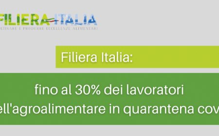 Filiera Italia: fino al 30% dei lavoratori dell'agroalimentare in quarantena covid