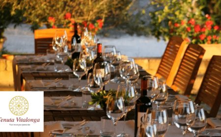 Tenuta Vitalonga: vino e ospitalità nel cuore dell'Umbria