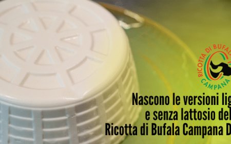 Nascono le versioni light e senza lattosio della Ricotta di Bufala Campana Dop