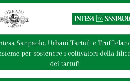 Intesa Sanpaolo, Urbani Tartufi e Truffleland: insieme per sostenere i coltivatori della filiera dei tartufi