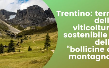 Trentino: terra della viticoltura sostenibile e delle “bollicine di montagna”
