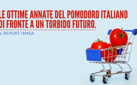 Le ottime annate del pomodoro italiano di fronte a un torbido futuro. Il report Ismea