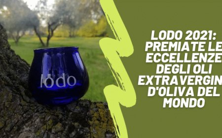 Lodo 2021: premiate le eccellenze degli oli extravergine d'oliva del mondo