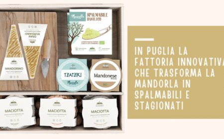 In Puglia la Fattoria innovativa che trasforma la mandorla in spalmabili e stagionati