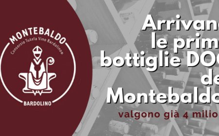 Arrivano le prime bottiglie DOC del Montebaldo: valgono già 4 milioni