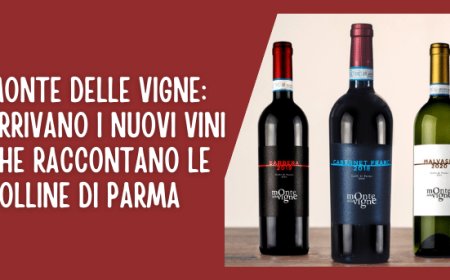 Monte delle Vigne: arrivano i nuovi vini che raccontano le colline di Parma