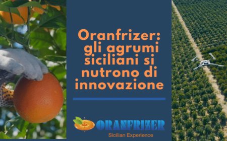Oranfrizer: gli agrumi siciliani si nutrono di innovazione