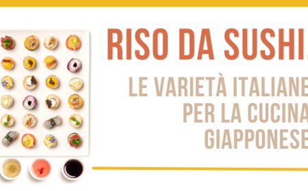 Riso da sushi, le varietà italiane per la cucina giapponese