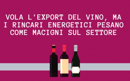 Vola l'export del vino, ma i rincari energetici pesano come macigni sul settore