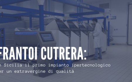 Frantoi Cutrera: in Sicilia il primo impianto ipertecnologico per un extravergine di qualità