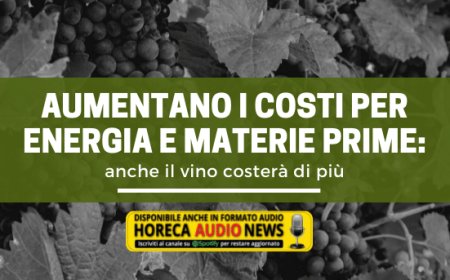 Aumentano i costi per energia e materie prime: anche il vino costerà di più