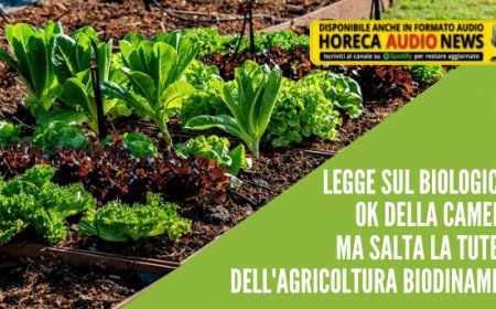 Legge sul biologico: Ok della Camera ma salta la tutela dell'agricoltura biodinamica