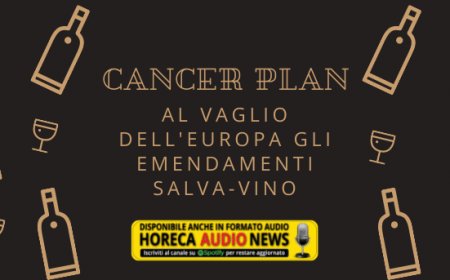 Cancer Plan. Al vaglio dell'Europa gli emendamenti salva-vino