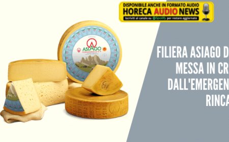 Filiera Asiago DOP messa in crisi dall'emergenza rincari
