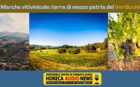 Le Marche vitivinicole: terra di mezzo patria del Verdicchio
