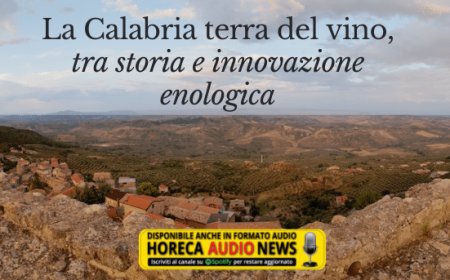 La Calabria terra del vino, tra storia e innovazione enologica