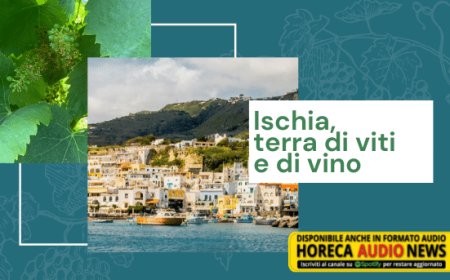 Ischia, terra di viti e di vino