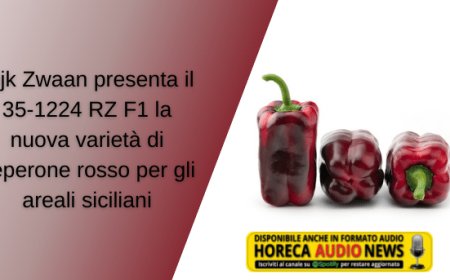 Rijk Zwaan presenta il 35-1224 RZ F1 la nuova varietà di peperone rosso per gli areali siciliani