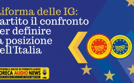 Riforma delle IG: partito il confronto per definire la posizione dell'Italia