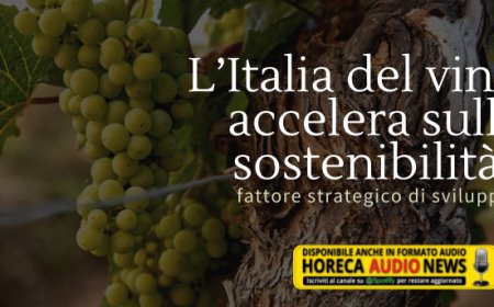 L’Italia del vino accelera sulla sostenibilità, fattore strategico di sviluppo