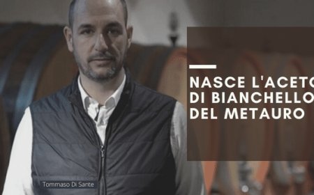 Nasce l'aceto di Bianchello del Metauro