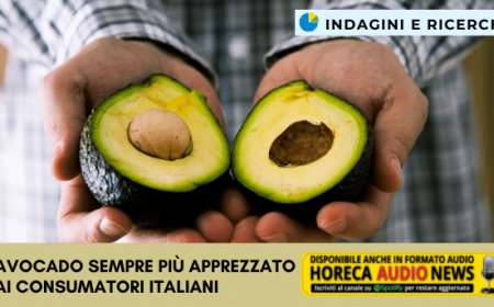 L'avocado sempre più apprezzato dai consumatori italiani