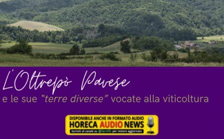 L’Oltrepò Pavese e le sue “terre diverse” vocate alla viticoltura