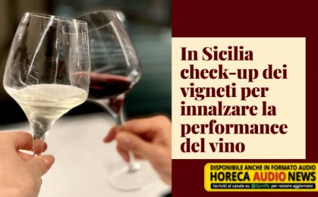 In Sicilia check-up dei vigneti per innalzare la performance del vino