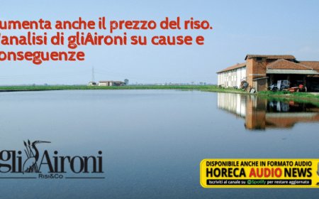 Aumenta anche il prezzo del riso. L'analisi di gliAironi su cause e conseguenze