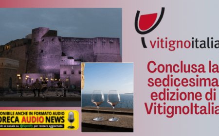 Conclusa la sedicesima edizione di VitignoItalia