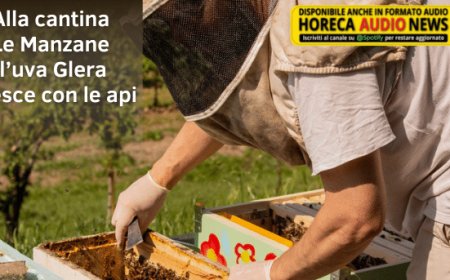 Alla cantina Le Manzane l’uva Glera cresce con le api