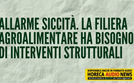 Allarme siccità. La filiera agroalimentare ha bisogno di interventi strutturali