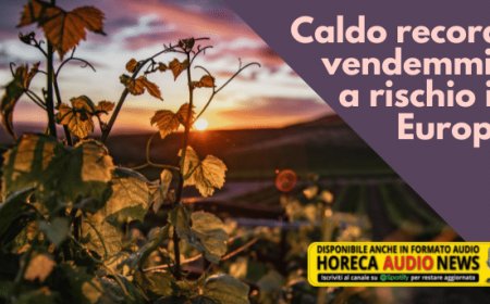 Caldo record, vendemmia a rischio in Europa