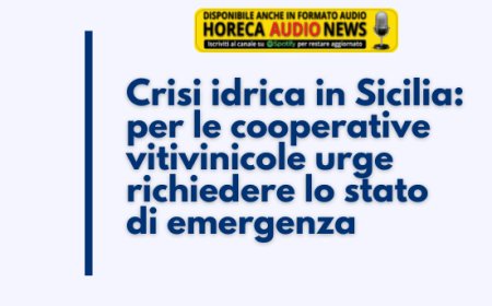 Crisi idrica in Sicilia: per le cooperative vitivinicole urge richiedere lo stato di emergenza